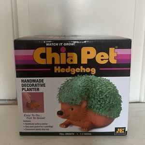Chia pet hedgehog